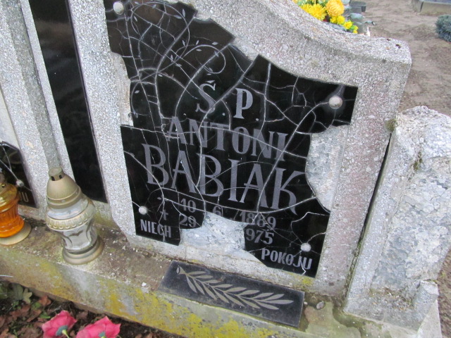 Antoni Babiak 1889 Węgorzyno - Grobonet - Wyszukiwarka osób pochowanych